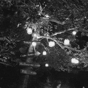 前列腺高潮合集Video
