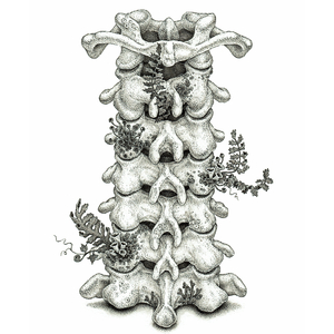 前列腺高潮合集Video
