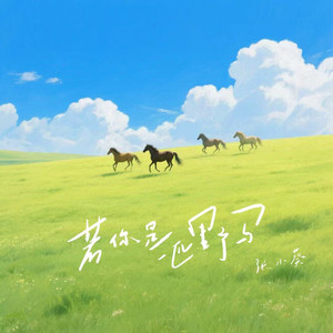 前列腺高潮合集Video
